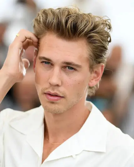 Classic Pompadour